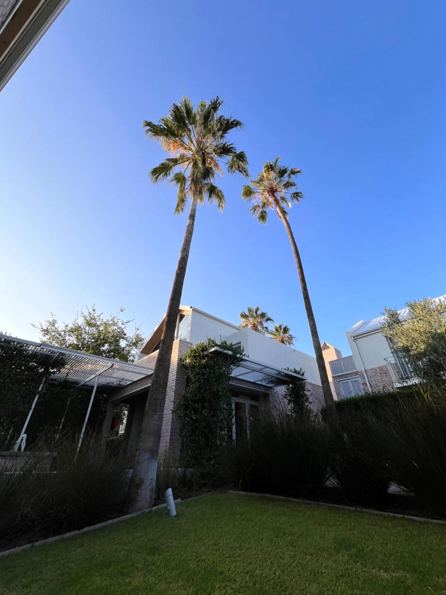 The Windhoek Luxury Suites Exterior foto